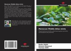 Обложка Moroccan Middle Atlas mints