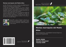 Bookcover of Mentas marroquíes del Medio Atlas