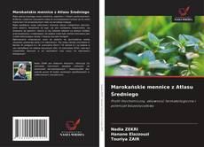Buchcover von Marokańskie mennice z Atlasu Średniego