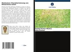 Capa do livro de Molekulare Charakterisierung von Rhizoctonia solani 