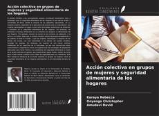 Portada del libro de Acción colectiva en grupos de mujeres y seguridad alimentaria de los hogares