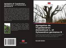 Copertina di Agrégation de Trypodendron domesticum L. et Xylosandrus germanus B