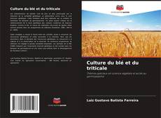 Copertina di Culture du blé et du triticale