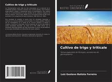 Borítókép a  Cultivo de trigo y triticale - hoz