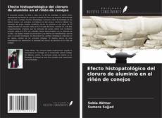 Portada del libro de Efecto histopatológico del cloruro de aluminio en el riñón de conejos