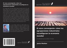 Portada del libro de El nexo convergente: cómo las agrupaciones industriales reconfiguran la economía mundial