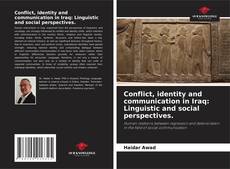 Conflict, identity and communication in Iraq: Linguistic and social perspectives.的封面