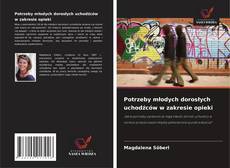 Borítókép a  Potrzeby młodych dorosłych uchodźców w zakresie opieki - hoz