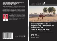 Borítókép a  Descomposición de la hojarasca y liberación de nutrientes en plantaciones de Salix - hoz