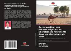 Copertina di Décomposition des déchets végétaux et libération de nutriments dans les plantations de Salix