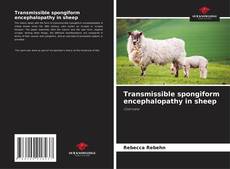 Copertina di Transmissible spongiform encephalopathy in sheep