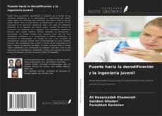 Borítókép a  Puente hacia la decodificación y la ingeniería juvenil - hoz