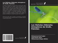 Borítókép a  Las libélulas (Odonata; Anisoptera) de Sindh, Pakistán - hoz