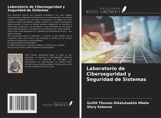 Borítókép a  Laboratorio de Ciberseguridad y Seguridad de Sistemas - hoz