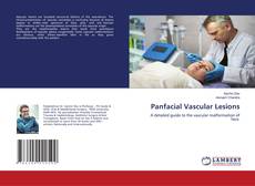 Portada del libro de Panfacial Vascular Lesions
