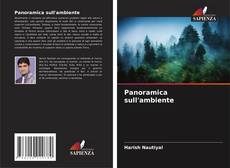Bookcover of Panoramica sull'ambiente