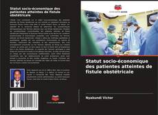 Statut socio-économique des patientes atteintes de fistule obstétricale kitap kapağı