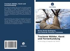 Bookcover of Trockene Wälder, Karst und Fernerkundung
