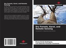 Portada del libro de Dry Forests, Karst, and Remote Sensing