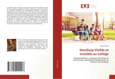 Handicap Visible et Invisible au collège kitap kapağı