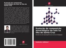 Capa do livro de Evolução da composição mineralógica do solo na Ilha de Santa Cruz 