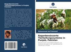 Copertina di Regenbewässerte Tierhaltungssysteme in Punjab, Pakistan