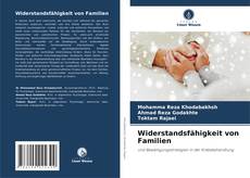 Copertina di Widerstandsfähigkeit von Familien