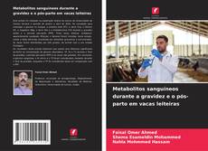 Couverture de Metabolitos sanguíneos durante a gravidez e o pós-parto em vacas leiteiras