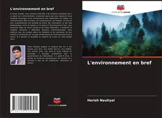 Bookcover of L'environnement en bref