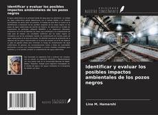 Identificar y evaluar los posibles impactos ambientales de los pozos negros的封面