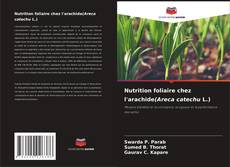 Обложка Nutrition foliaire chez l'arachide(Areca catechu L.)