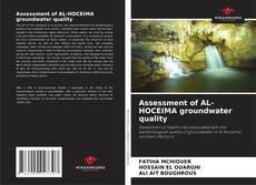 Bookcover of Assessment of AL-HOCEIMA groundwater quality