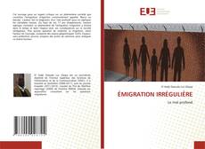 ÉMIGRATION IRRÉGULIÈRE kitap kapağı