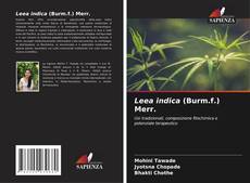 Buchcover von Leea indica (Burm.f.) Merr.