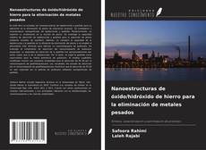 Borítókép a  Nanoestructuras de óxido/hidróxido de hierro para la eliminación de metales pesados - hoz