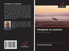 Portada del libro de Patagonia na rozdrożu