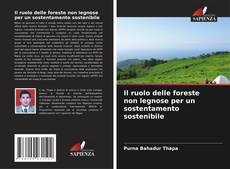 Borítókép a  Il ruolo delle foreste non legnose per un sostentamento sostenibile - hoz