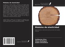 Copertina di Módulos de elasticidad