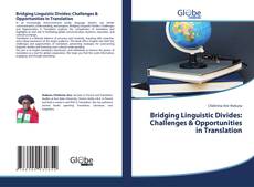 Bookcover of Bridging Linguistic Divides: Challenges & Opportunities in Translation