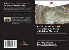 Bookcover of Potentiel minéral non métallique de l'État d'Hidalgo, Mexique