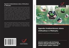 Agenda środowiskowa stanu Chihuahua w Meksyku的封面