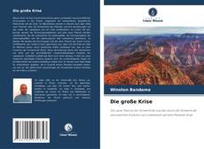 Capa do livro de Die große Krise 