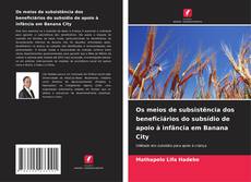 Borítókép a  Os meios de subsistência dos beneficiários do subsídio de apoio à infância em Banana City - hoz