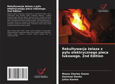 Buchcover von Rekultywacja żelaza z pyłu elektrycznego pieca łukowego. 2nd Edition