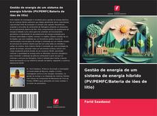 Gestão de energia de um sistema de energia híbrido (PV/PEMFC/Bateria de iões de lítio)的封面