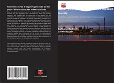 Buchcover von Nanostructures d'oxyde/hydroxyde de fer pour l'élimination des métaux lourds