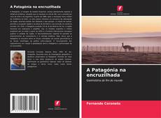 A Patagónia na encruzilhada kitap kapağı