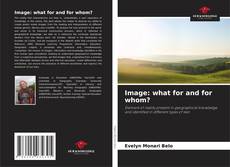 Copertina di Image: what for and for whom?