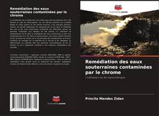 Bookcover of Remédiation des eaux souterraines contaminées par le chrome