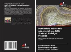 Buchcover von Potenziale minerario non metallico dello Stato di Hidalgo, Messico